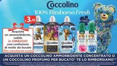 Coccolino - 100% Rimborso Fresh