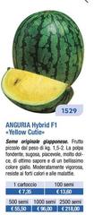 Anguria 