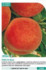 Fratelli Ingegnoli - Pesco Iris Rosso