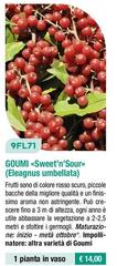 9FL71 Goumi «Sweet'n'Sour» (Eleagnus Umbellata)