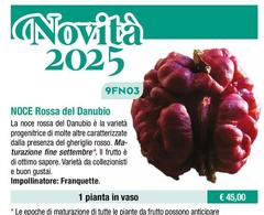 Noce Rossa Del Danubio