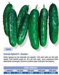 Cetrilolo 