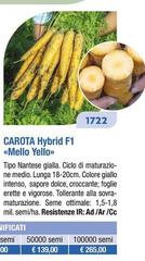 Carota Hybrid F1 Mello Yello