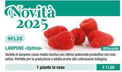 9FL25 Lampone <Optima>
