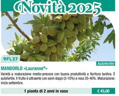 Fratelli Ingegnoli - Mandorlo/ Lauranne