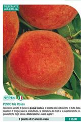 Fratelli Ingegnoli - Pesco Iris Rosso