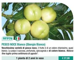 Fratelli Ingegnoli - Pesco Noce Bianco