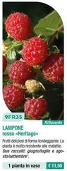 9FR35 Lampone Rosso <Heritage>