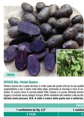 Patata Blu violet Queen