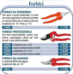 Forbice Professionale