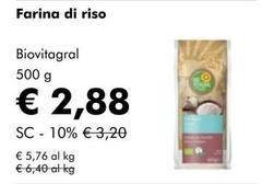 Il viaggiotor goloso - Farina Di Riso