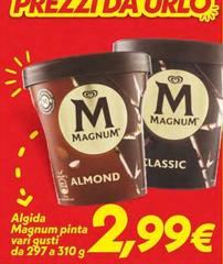Algida - Magnum Pinta
