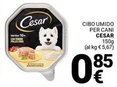 Cesar - Cibo Umido Per Cani