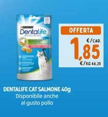 Dentalife Cat