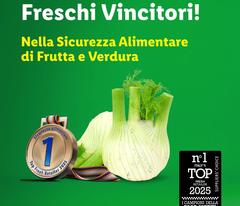 Fresh - Freschi Vinicitori