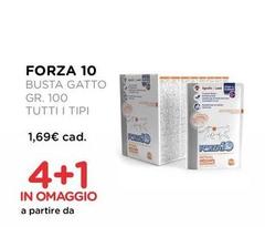 Forza 10 - Gatto 