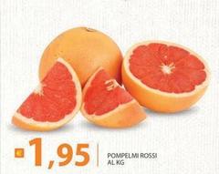 Rossi - Pompelmi