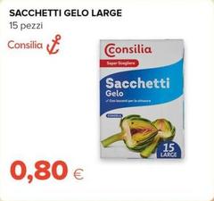 Consilia - Sacchetti Gelo Large
