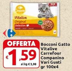Selection - Bocconi Gatto Vitalive Companino