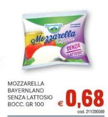 Bayernland - Mozzarella Senza Lattosio