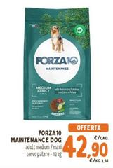 Forza 10 - Maintenance Dog