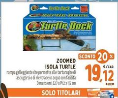 Zoomed Isola Turtle