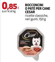 Cesar - Bocconcini O Pate Per Cane