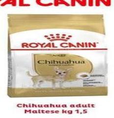 Royal Canin - Chihuahua Adult Maltese