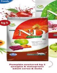PUMPKIN NEUTERED KIG 5 QUALQUILA & MELOGRANO ADULTS