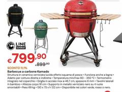 Barbecue A Carbone Kamado