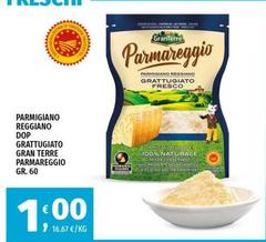 Granterre - Parmigiano Reggiano DOP Grattugiato Gran Terre Parmareggio