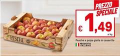 Pesche A Polda Gialla In Cassetta