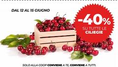 Solo - Dal 12 Al 15 Giugno