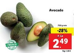 Avocado
