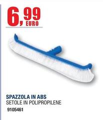 Spazzola In Abs  