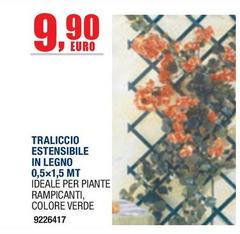 Traliccio Estensibile In Legno