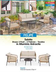 Felipe Salotto