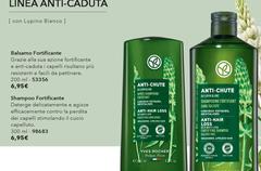 Linea Anti-Caduta
