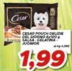 Casar - Pouch Deluxe Gelatina