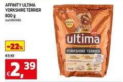 Ultima - Affinity Yorkshire Terrier