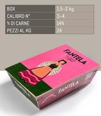 Box Calibro N°