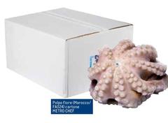 Metro chef - Polpo Fiore (Marrocco/ Fa029) Gartone