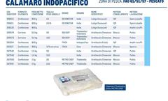 Netto - Calamaro Indopacifico