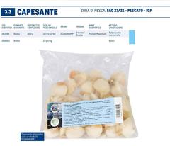 Netto - Pescato - IQF