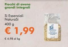 Fiocchi Di Avena Grandi Integrali
