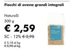 NaturaSì - Fiocchi Di Avena Grandi Integrali