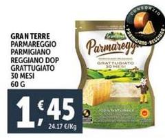 Gran Terre - Parmareggio Parmigiano Reggiano DOP Grattugiato 30 Mesi