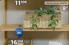 Basso - Reasornilla