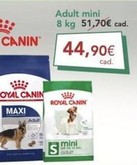 Maxi - Royal Canin
