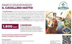 Parco - Il Cavallino Matto